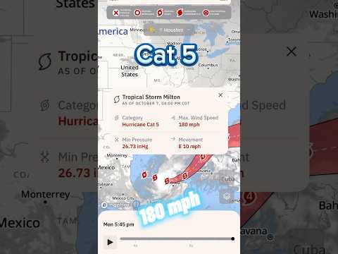 Tampa on High
