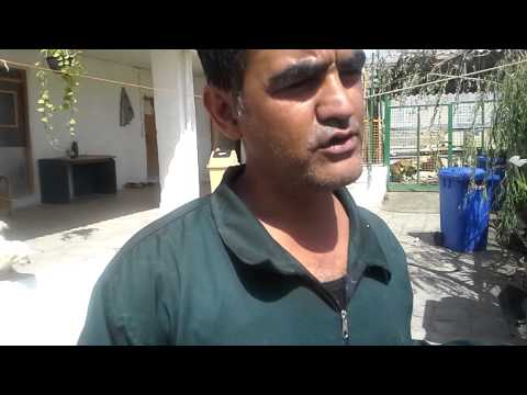 فعالیت سازمانهای مردم نهاد در ایران 