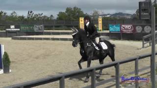 173S Nicole Holownia On Tully Macs Happy Cinders Sr Training Am Show Jumping Woodside May 2017