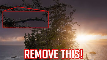 How to Remove Halos and Color Fringing/Chromatic Aberration