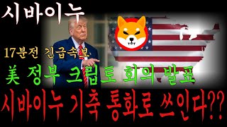 [시바이누 전망] 美 정부 크립토 회의 발표   시바이누 기축 통화로 쓰인다???