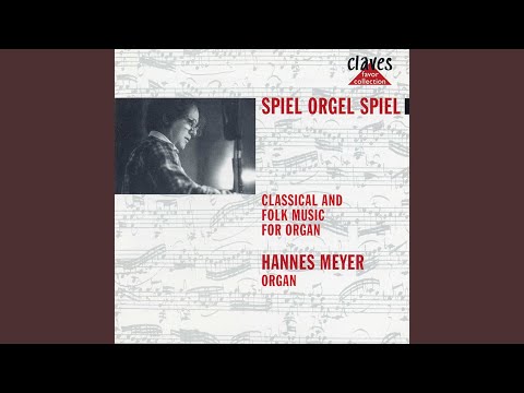 Schanfigger Bauernhochzeit für Orgel auf YouTube ansehen