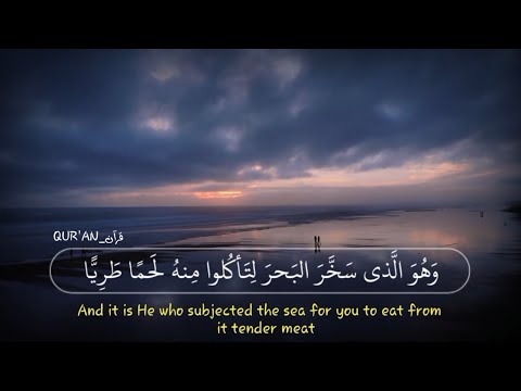 عبد الباسط عبد الصمد وهو الذي سخر البحر لتأكلوا منه