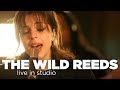 The wild reeds  live in studio