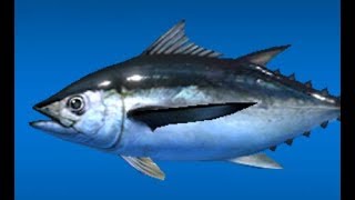 Ace Fishing:Yellowfin Fish screenshot 4