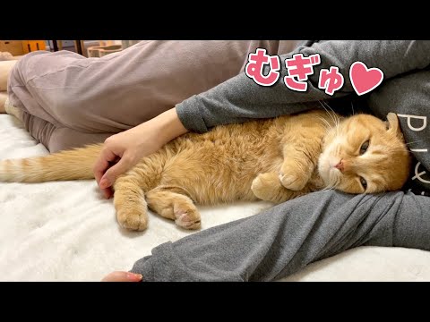 もこもこ布団にとろけた愛猫を抱き枕にしました！