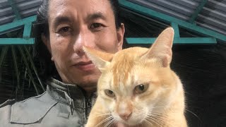 Bài pháp soi gương.