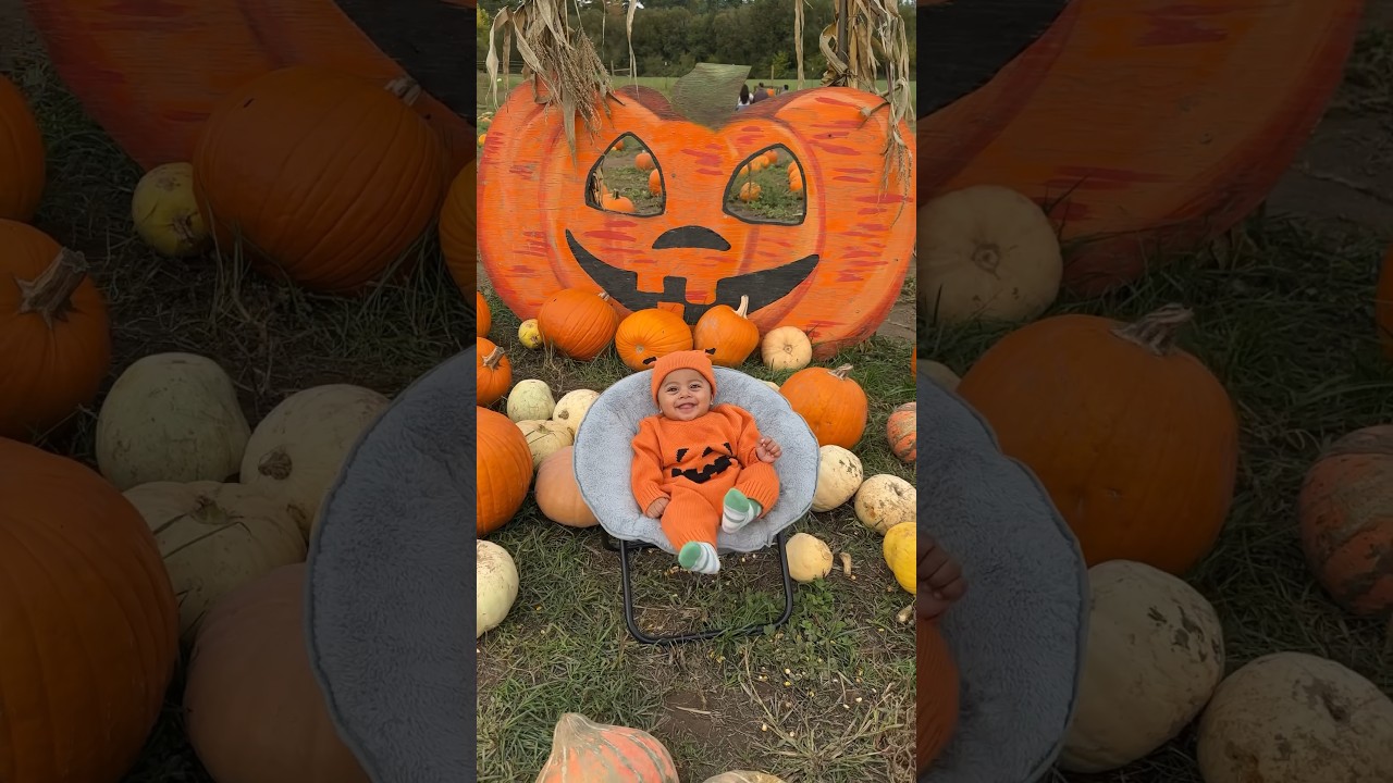 The Cutest Pumpkin🎃🧡 