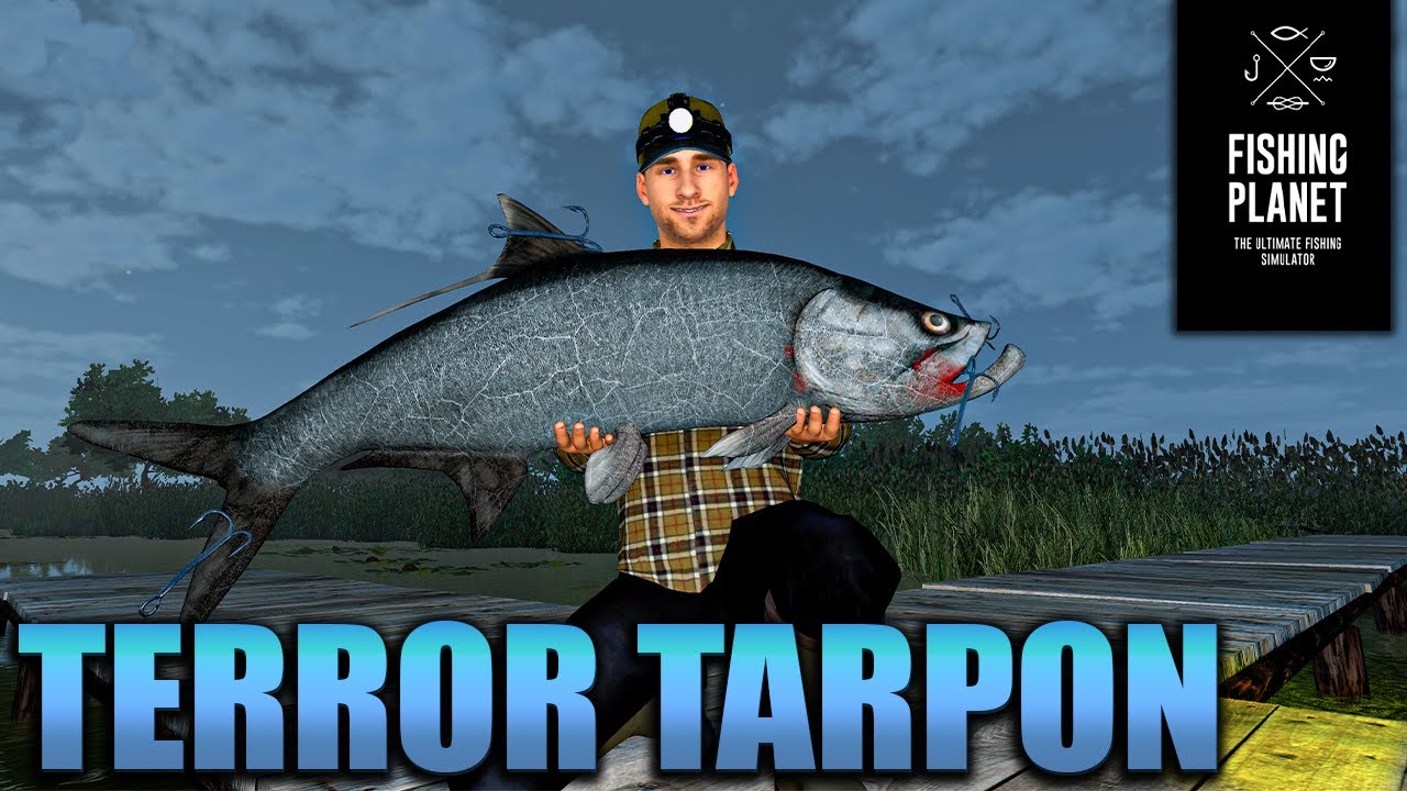 Fishing 2022 Terror Tarpon Hotspot Beginners Guide🎣