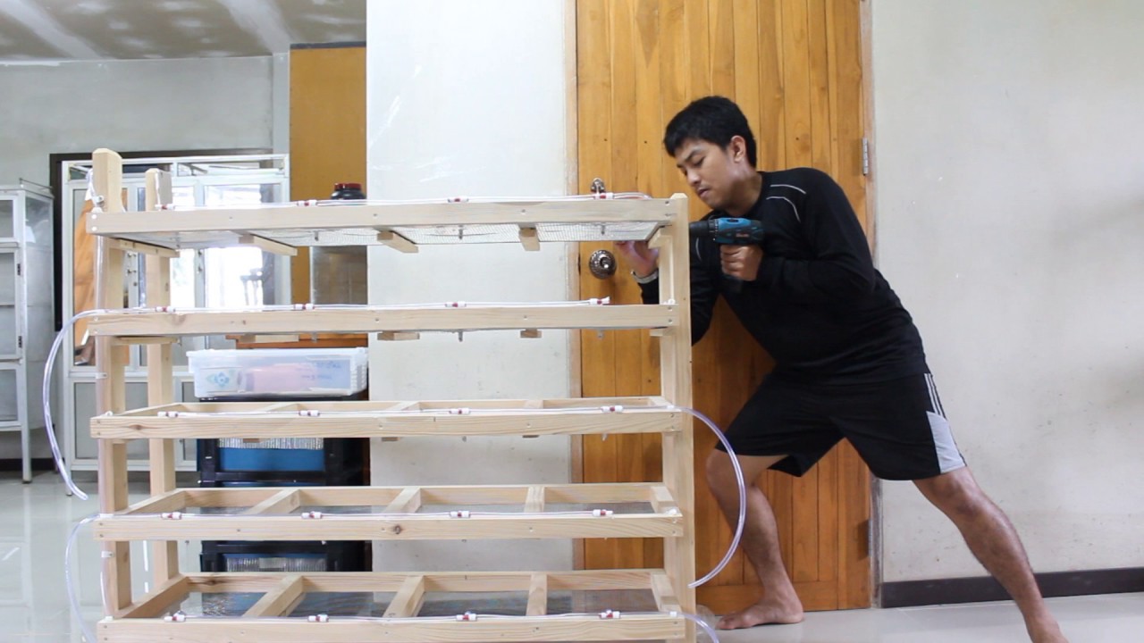 animal and man ▶หนูไมค์ EP.2 วิธีประกอบชั้นเพาะหนูไมค์ ขนาด20ถาด [ Seventeen Farm ]