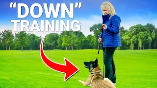 How to Teach your dog the 'Down' Command Fast!
