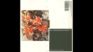 Polygonia, Simon Popp - Onyx