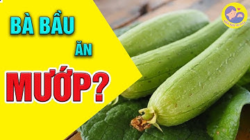 ☘️ Bà Bầu Ăn Được Mướp Không? Những Lưu Ý Khi Ăn Mướp | Kiến Thức Mẹ Bầu