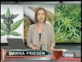 Court Gives Canada 90 Days to Fix Medical Marijuana Program