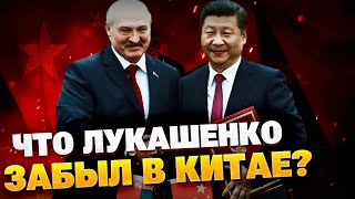 Друг или Пешка? Что Лукашенко забыл на ковре у Си Цзиньпина?