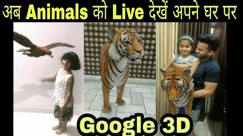 How to view 3D animals in Google || Steps to get 3D animals in your home space || Google 3D animals