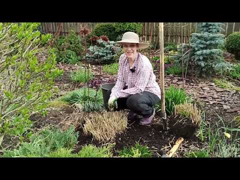 Garden Archive 04.05.26. Working in the garden. Garden overview.