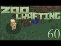 Orphaned Cougar Cub! 🐘 Zoo Crafting: Episode #60