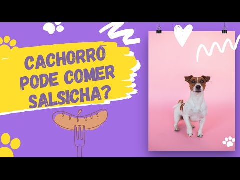 Vídeo: Os cachorros podem comer salsichas?
