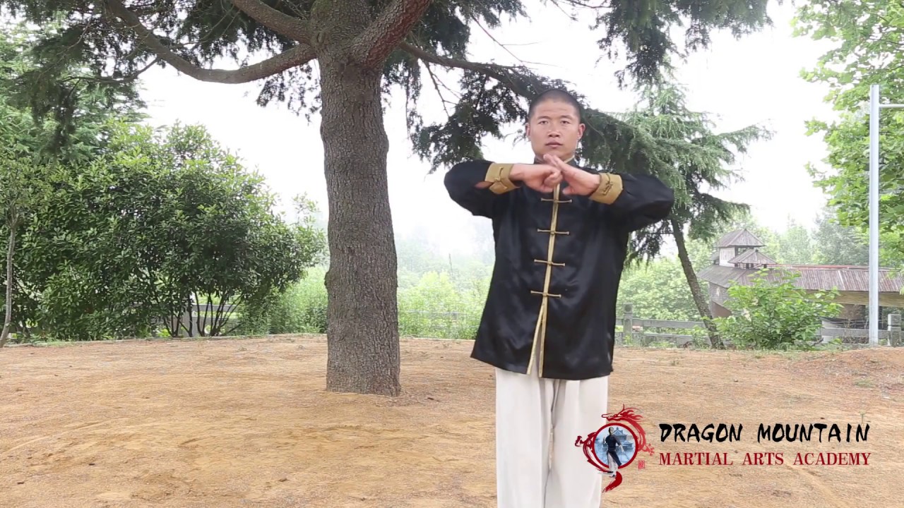 Dragon Mountain Martial Arts Academy