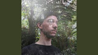 roots