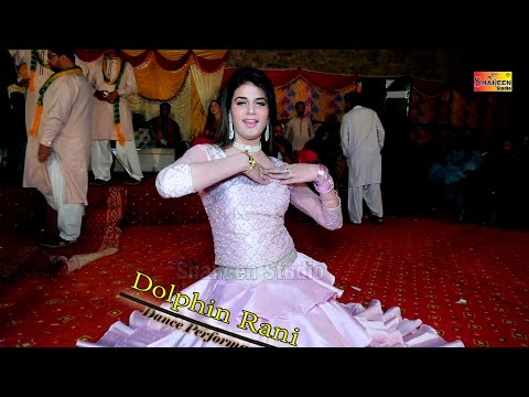 Full Khair Howay Saday Yaaran Di | Dolphin Rani | New Dance 2020 | Shaheen Studio