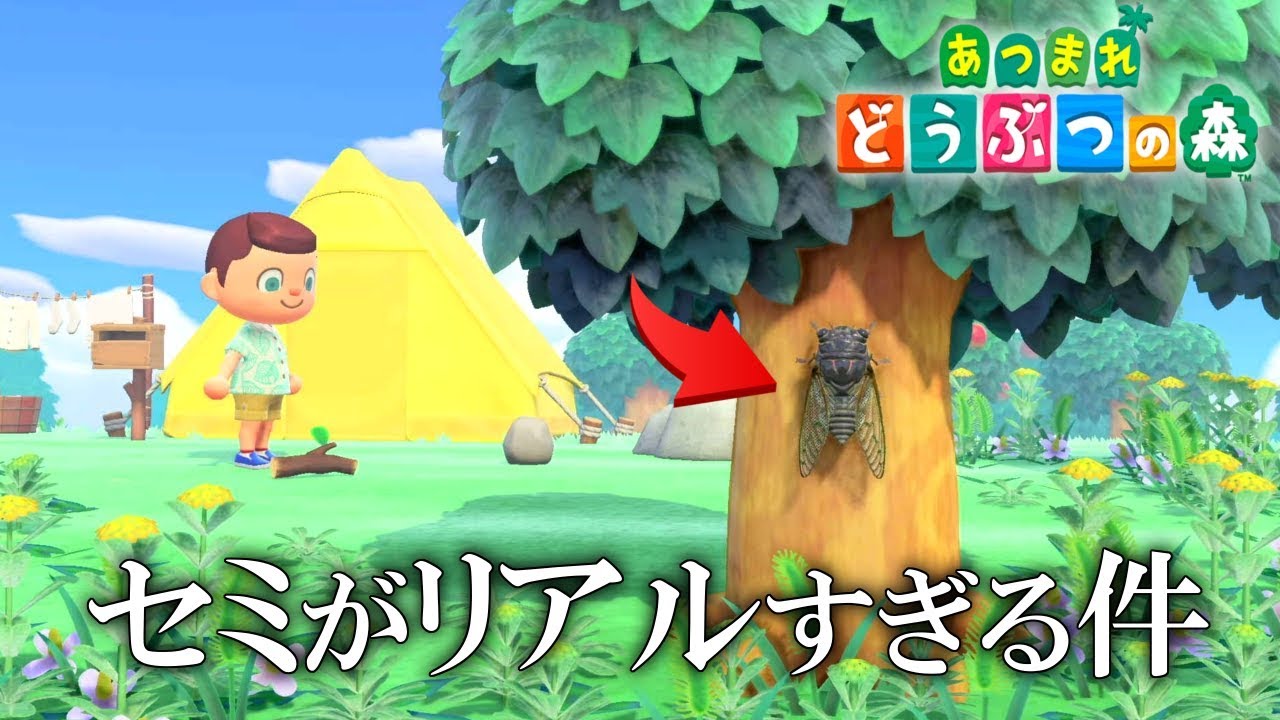 あつまれどうぶつの森 Switch】 あつまれ どうぶつの森 | ノジマオンライン