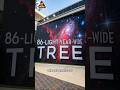 NASA Found an 80-Light-Year-Wide Christmas Tree