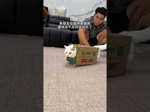 What It Was Doing With The Box