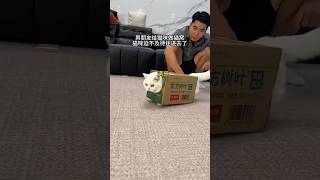 What It Was Doing With The Box