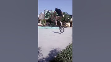 BMX 360 PIVOT