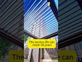 Aluminum pavilions that are popular in garden courtyards #outdoors #awning#gazebo