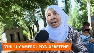 Ma Cinî Û Camêrd Pîya Xebetênê