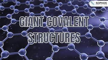 Giant Covalent Structures