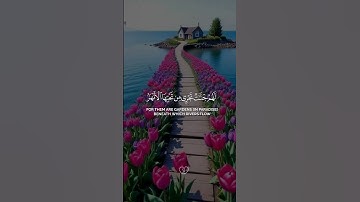 #quran #اكسبلور #المصحف #القرآن_الكريم #yasseraldossary #لايك #duet #ياسر_الدوسري #تلاوة_خاشعة