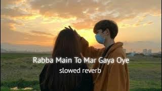 Rabba Main To Mar Gaya Oye [slowed   Reverb]