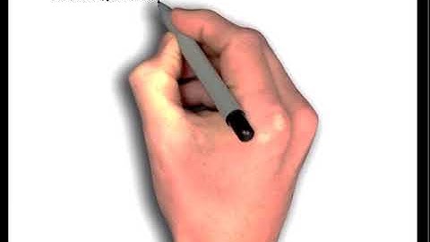 Equilibrium Applications of Newton