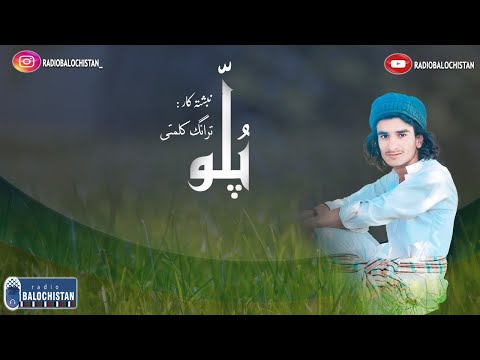 Nebishtank Pullo |