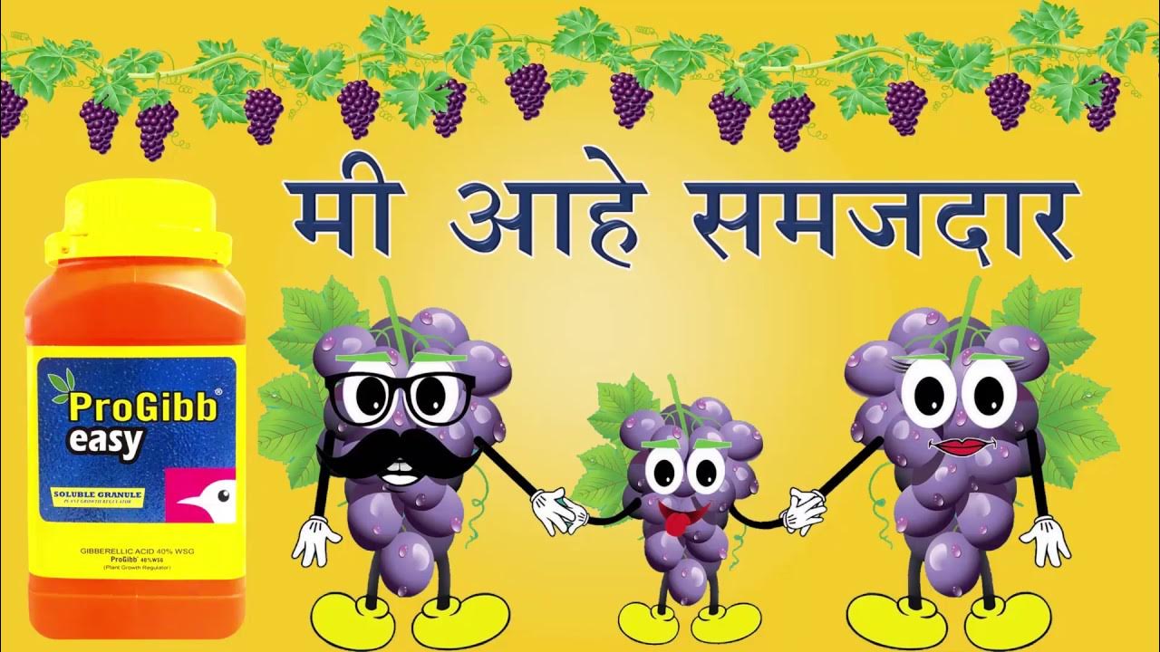 Grape acid. Grape acid