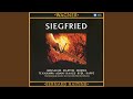 Miniature de la vidéo de la chanson Siegfried: Act Iii, Scene Iii: Heil Dir, Sonne!