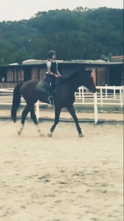trotto con Millone🤎🐎