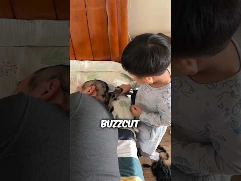 Shaving Hair Prank #shorts #hair