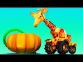AnimaCars - The GIRAFFE CRANE and the giant PUMPKIN - cartoons with animals