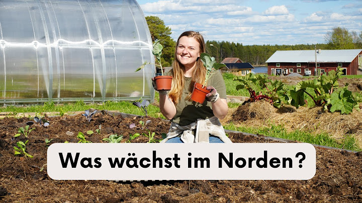 What grows in the north of Sweden - Our dream garden part 3