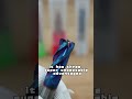 #carbide #endmills #karbeide