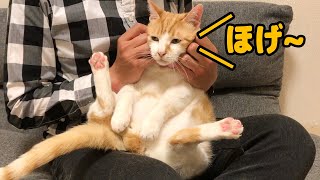 爪切りでささやかな抵抗をするネコ