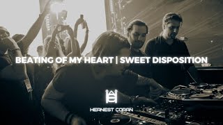 Beating Of My Heart | Sweet Disposition (Swedish House Mafia Mashup)