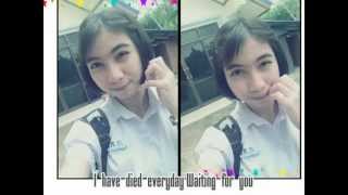 a thousand years - Christina Perri feat. Steve Kazee (lyrics)