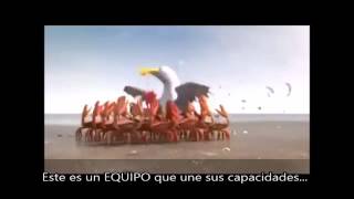 VIDEO DE MOTIVACION   EL TRABAJO EN EQUIPO