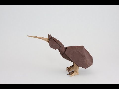 Origami kiwi by Quentin Trollip